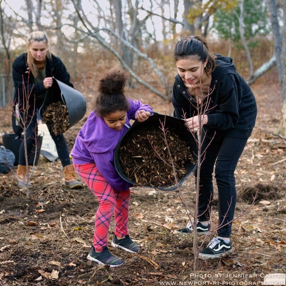 Volunteers assist with tree mulching at Morton Park, Newport, R.I.