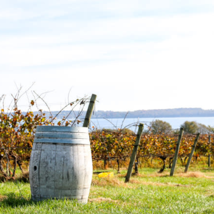 Photo: Discover Newport