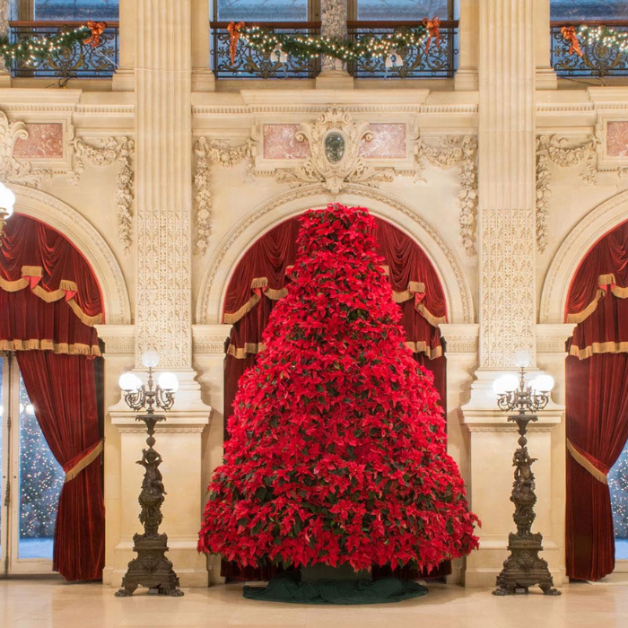 Holidays at Newport Manstions