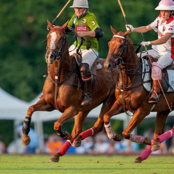 Newport Polo