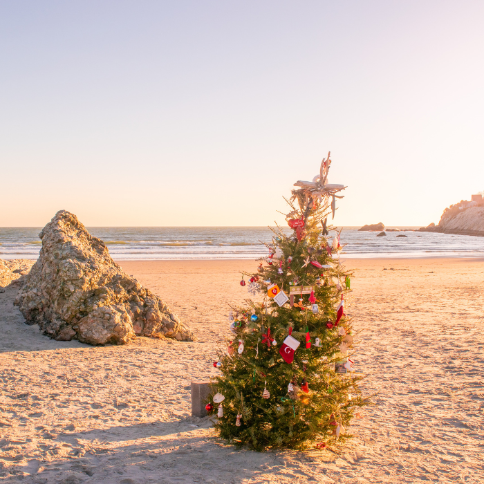 Second Beach Christmas Tree