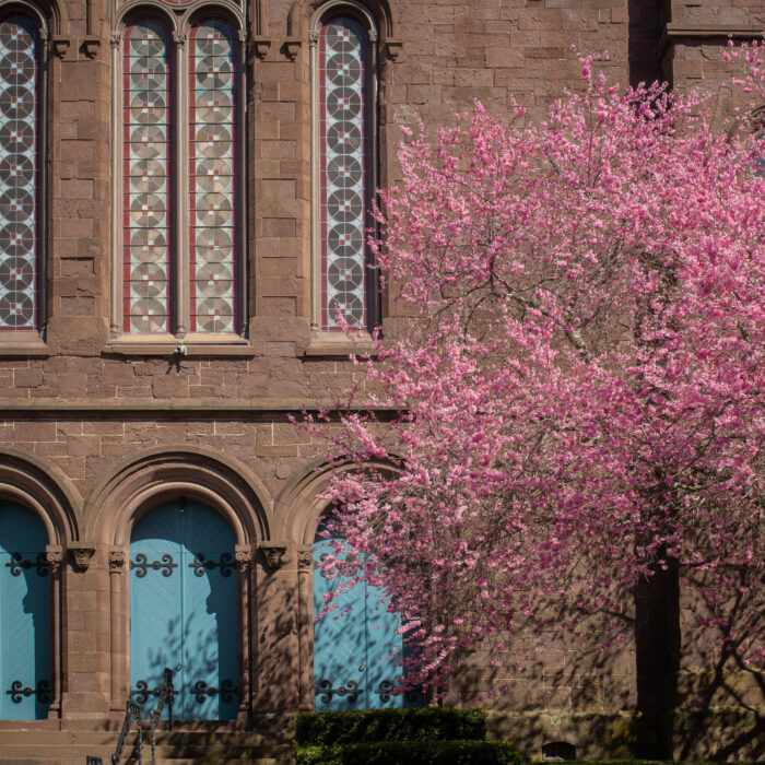 Spring St Newport RI
